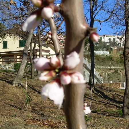 Ariabuona Daire Moneglia Dış mekan fotoğraf