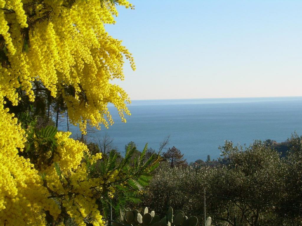 Ariabuona Daire Moneglia Dış mekan fotoğraf