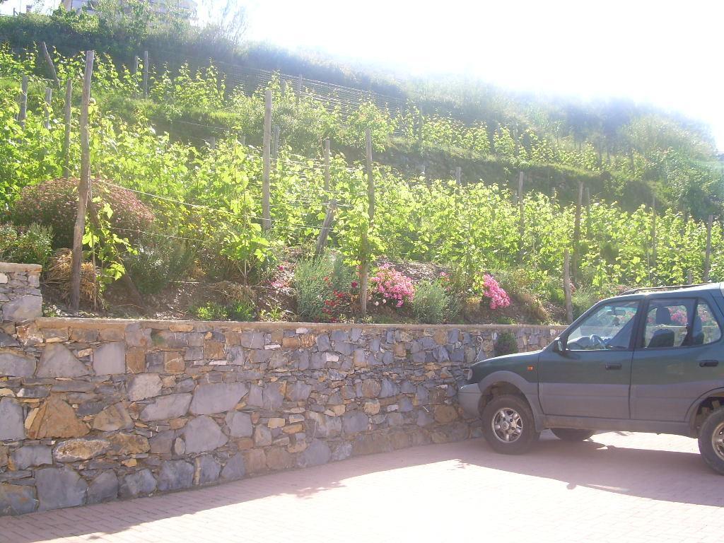 Ariabuona Daire Moneglia Dış mekan fotoğraf