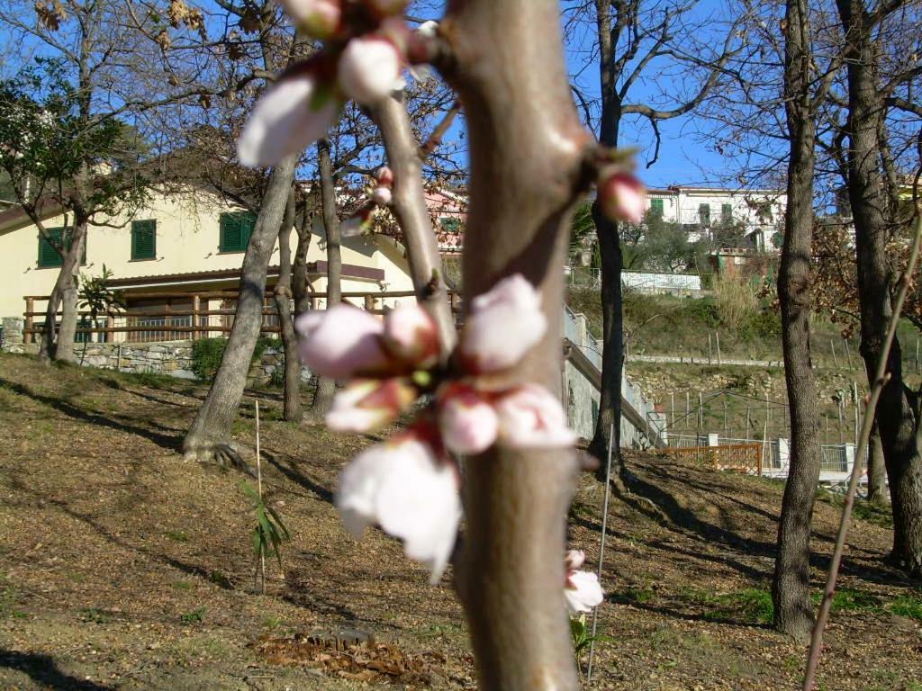 Ariabuona Daire Moneglia Dış mekan fotoğraf