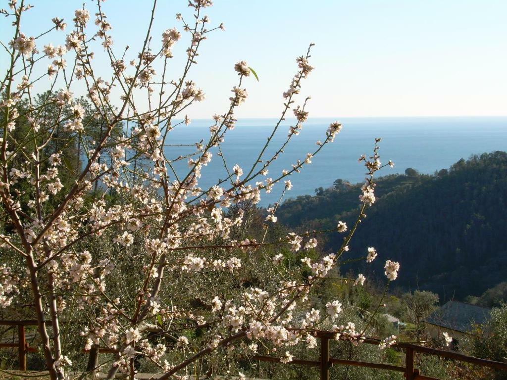 Ariabuona Daire Moneglia Dış mekan fotoğraf