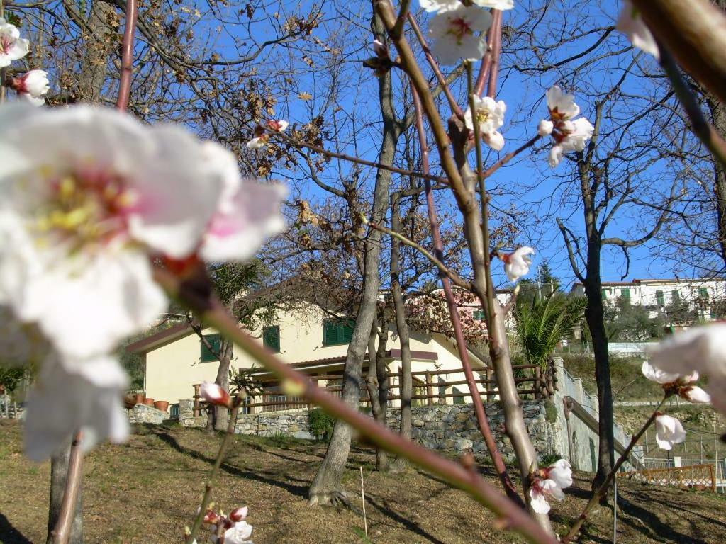 Ariabuona Daire Moneglia Dış mekan fotoğraf
