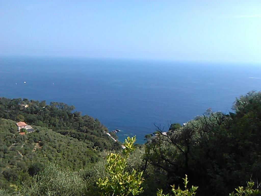 Ariabuona Daire Moneglia Dış mekan fotoğraf